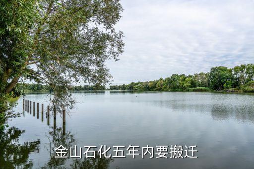 上?；瘜W(xué)工業(yè)區(qū)總體規(guī)劃,洪江市工業(yè)區(qū)總體規(guī)劃