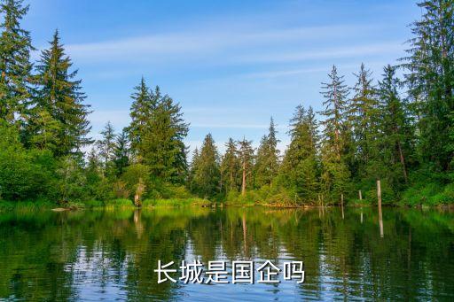 創(chuàng)新長(zhǎng)城資產(chǎn)管理有限公司,保定創(chuàng)新長(zhǎng)城資產(chǎn)管理有限公司是國(guó)企嗎