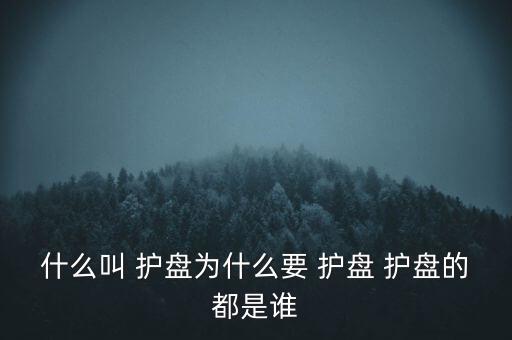 如何看股票莊家護(hù)盤,股票大跌莊家為啥護(hù)盤