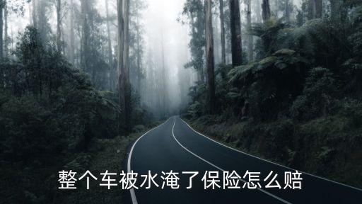 洪水淹車(chē)保險(xiǎn)公司賠嗎,汽車(chē)被洪水淹了保險(xiǎn)公司賠多少錢(qián)