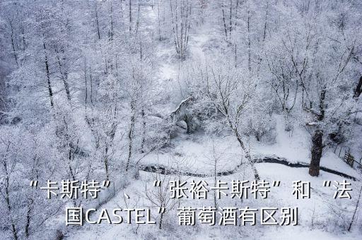 “卡斯特”、“ 張?？ㄋ固亍焙汀胺▏鳦ASTEL”葡萄酒有區(qū)別