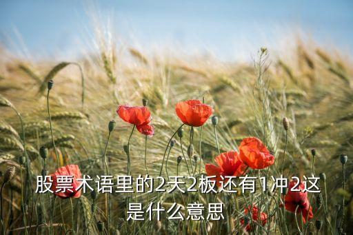  股票術(shù)語(yǔ)里的2天2板還有1沖2這是什么意思