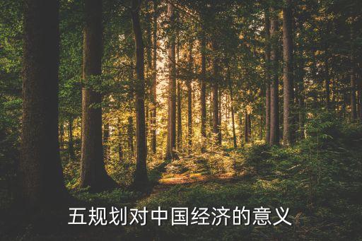 十三五規(guī)劃對中國經(jīng)濟的意義