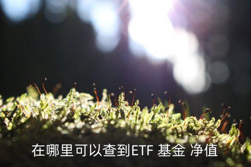 在哪里可以查到ETF 基金 凈值