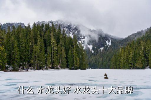 什么 水龍頭好 水龍頭十大品牌