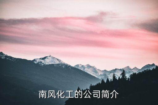 南風(fēng)化工的公司簡介