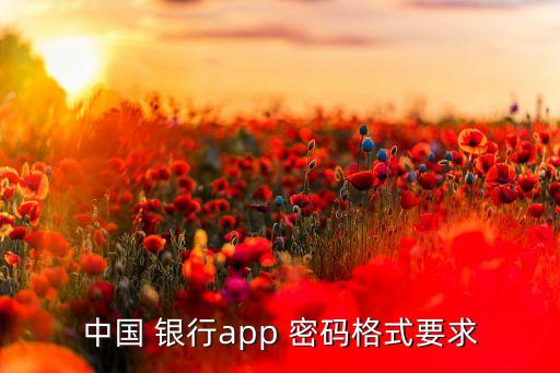 中國 銀行app 密碼格式要求