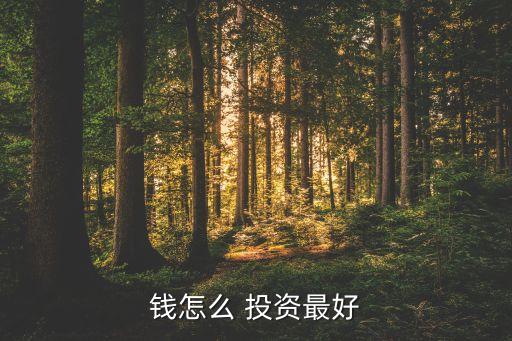 錢怎么 投資最好