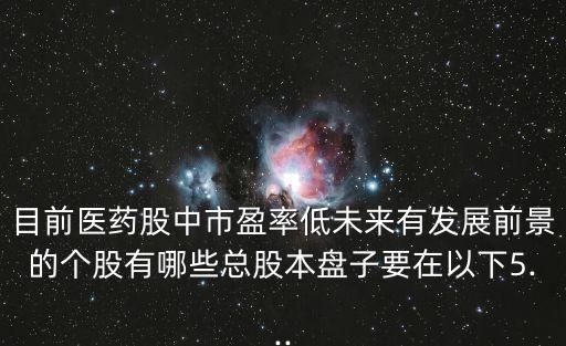 目前醫(yī)藥股中市盈率低未來有發(fā)展前景的個股有哪些總股本盤子要在以下5...