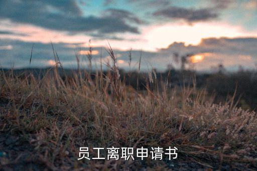 員工離職申請(qǐng)書(shū)