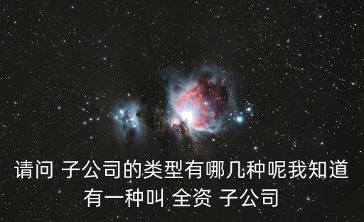 請(qǐng)問(wèn) 子公司的類型有哪幾種呢我知道有一種叫 全資 子公司