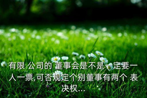 公司董事會(huì)表決權(quán),董事會(huì)表決權(quán)按出資還是按人數(shù)