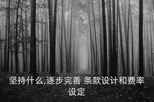 堅(jiān)持什么,逐步完善 條款設(shè)計(jì)和費(fèi)率設(shè)定