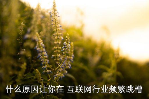 什么原因讓你在 互聯網行業(yè)頻繁跳槽