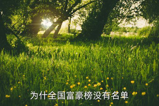 為什全國(guó)富豪榜沒(méi)有名單