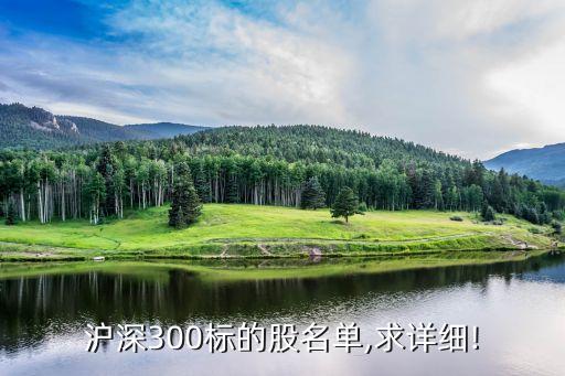 滬深300標(biāo)的股名單,求詳細!