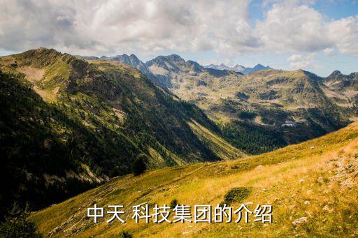 中天科技世貿(mào)有限公司,山東中天科技工程有限公司