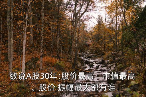 數(shù)說A股30年:股價最高、市值最高、股價 振幅最大都有誰