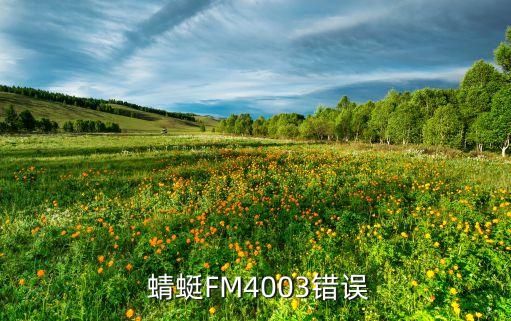  蜻蜓FM4003錯誤