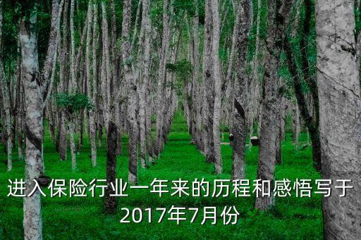 進(jìn)入保險行業(yè)一年來的歷程和感悟?qū)懹?017年7月份