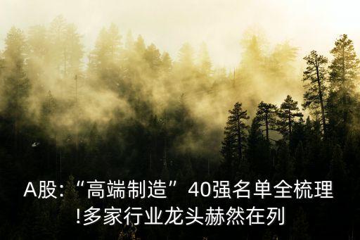 A股:“高端制造”40強(qiáng)名單全梳理!多家行業(yè)龍頭赫然在列