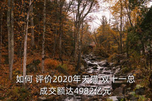 如何 評(píng)價(jià)2020年天貓 雙十一總成交額達(dá)4982億元