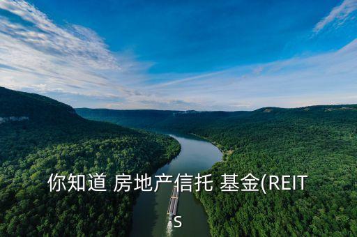 你知道 房地產(chǎn)信托 基金(REITs