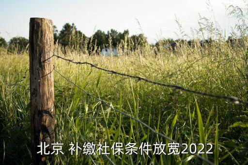  北京 補(bǔ)繳社保條件放寬2022