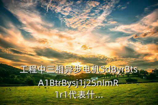 工程中三相異步電機SdByrBtsA1BtrBysj1j2SnImR1r1代表什...