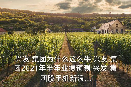  興發(fā) 集團(tuán)為什么這么牛 興發(fā) 集團(tuán)2021年半年業(yè)績預(yù)測 興發(fā) 集團(tuán)股手機(jī)新浪...