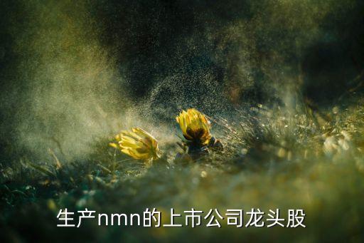 生產(chǎn)nmn的上市公司龍頭股