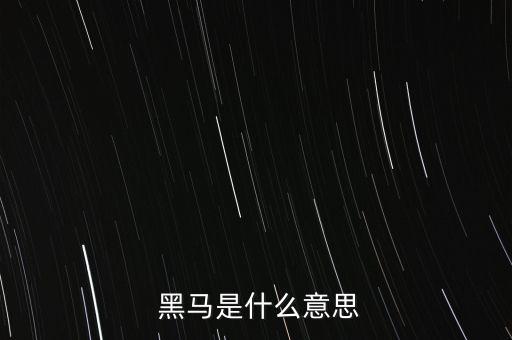  黑馬是什么意思