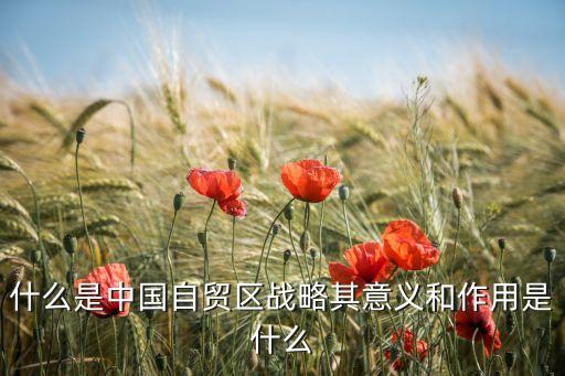 什么是中國自貿(mào)區(qū)戰(zhàn)略其意義和作用是什么