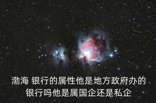  渤海 銀行的屬性他是地方政府辦的 銀行嗎他是屬國企還是私企