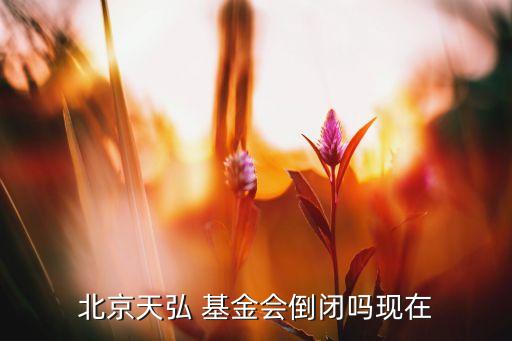 英大基金管理有限公司