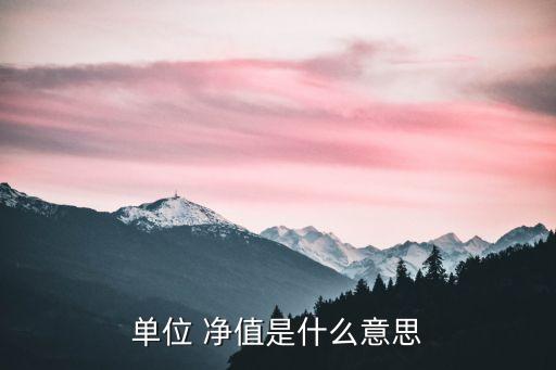 單位 凈值是什么意思