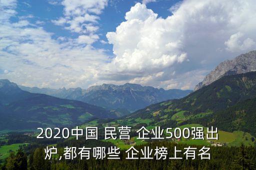 2020中國 民營 企業(yè)500強出爐,都有哪些 企業(yè)榜上有名