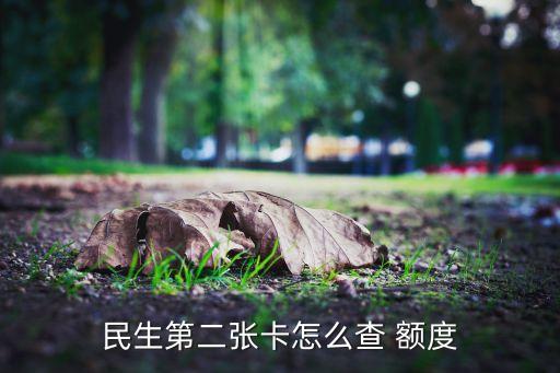 民生第二張卡怎么查 額度