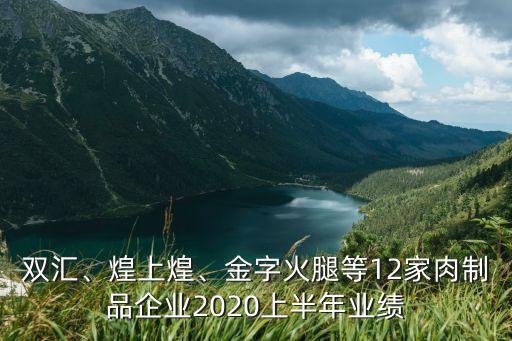 雙匯、煌上煌、金字火腿等12家肉制品企業(yè)2020上半年業(yè)績