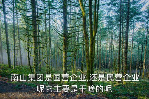 龍口市南山擔(dān)保有限公司,山東龍口市南山集團(tuán)有限公司