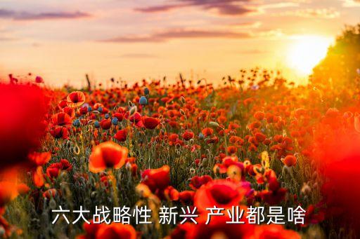 2016年中國(guó)新興產(chǎn)業(yè),中國(guó)的新興產(chǎn)業(yè)有哪些