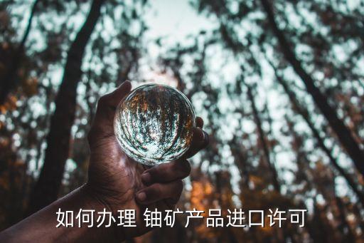 如何辦理 鈾礦產(chǎn)品進(jìn)口許可