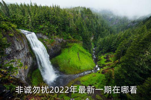  非誠勿擾2022年最新一期在哪看