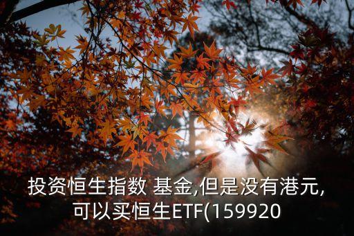 投資恒生指數(shù) 基金,但是沒有港元,可以買恒生ETF(159920