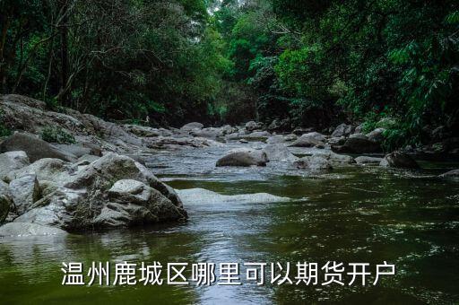 溫州鹿城區(qū)哪里可以期貨開戶