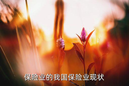 保險業(yè)的我國保險業(yè)現(xiàn)狀