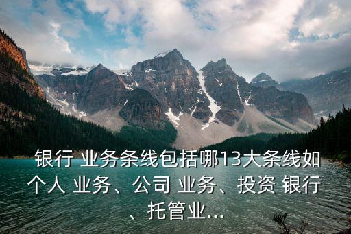  銀行 業(yè)務(wù)條線包括哪13大條線如個(gè)人 業(yè)務(wù)、公司 業(yè)務(wù)、投資 銀行、托管業(yè)...