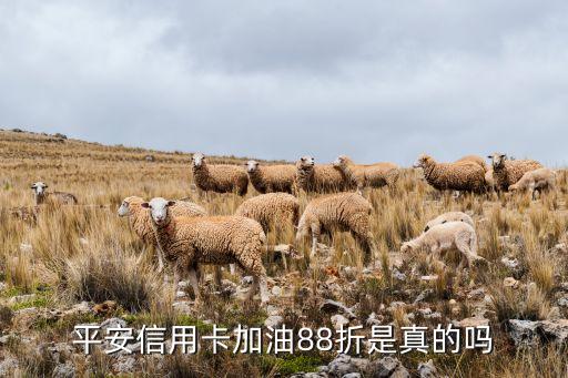 深圳銀行加油卡,哪個(gè)銀行的加油卡最劃算