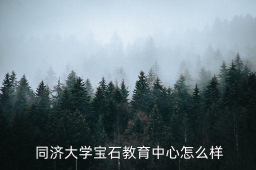  同濟大學寶石教育中心怎么樣