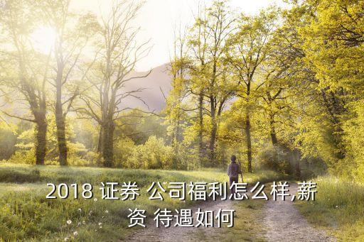 2018 證券 公司福利怎么樣,薪資 待遇如何